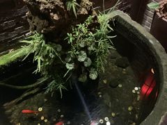 -松茸小馆·云南特色餐厅
