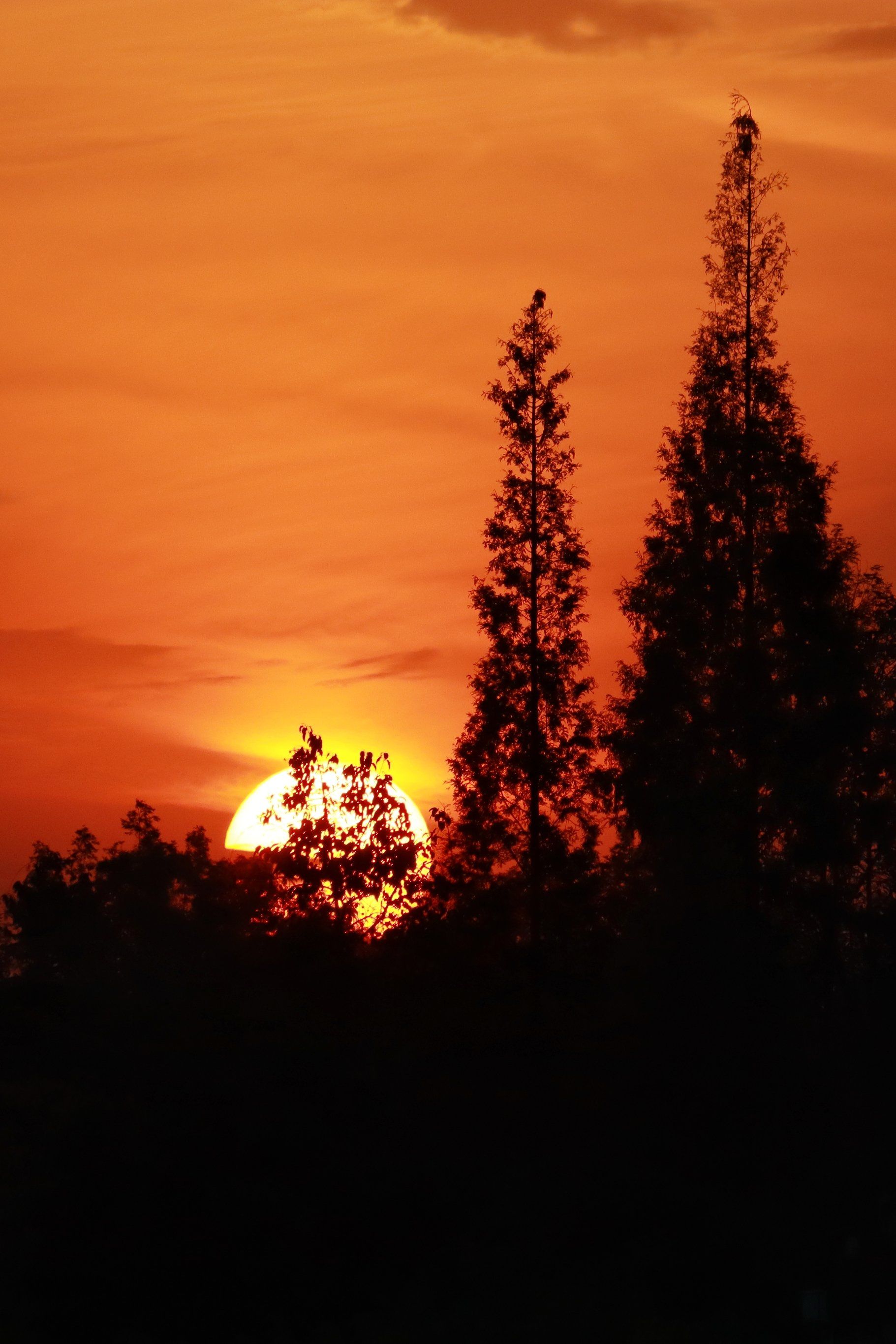 落日余晖,待你而归