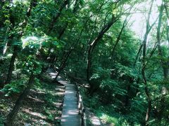 -北京上方山国家森林公园