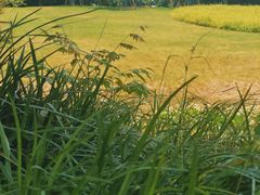 -蓝天路(地铁站)