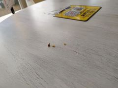 -麦当劳(塔园路店)