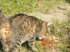 -狼山风景名胜区