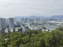 -金鸡山公园