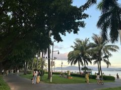 -若蘭慈·无国界素食料理(欢乐海岸店)