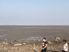 -东疆建设开发纪念公园