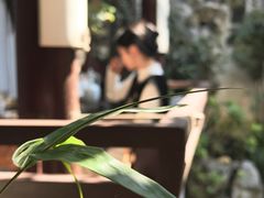 -蟹村草堂·苏式园林人文农家·大闸蟹