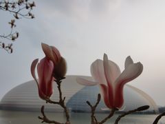 -国家大剧院-停车场