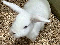 -上海大自然野生昆虫馆