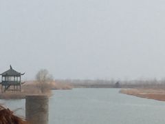 -泗洪洪泽湖湿地景区