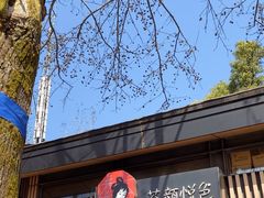 -茶颜悦色(岳麓山顶店)