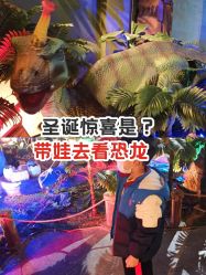 -恐龙探索乐园(磁器口店)