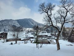 -白川乡与五箇山的合掌构造村落