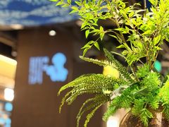 -浩海火烧云傣家菜(京广店)