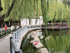 -莲湖公园