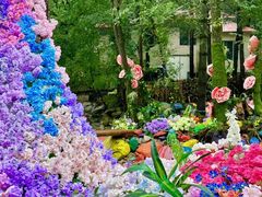 -洛阳白云山景区