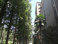 -浙江大学(玉泉校区)