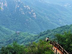 -大岭沟猕猴桃谷风景区