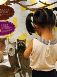 点击看大图 -七巧国萌宠乐园(龙湖天街店)