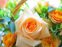 -爱尚花坊(大林路店)