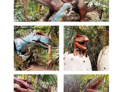 -呀路古热带植物园