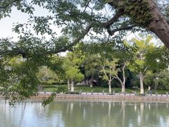 -江心屿景区