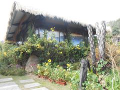 景点-优游吧斯邹族文化部落