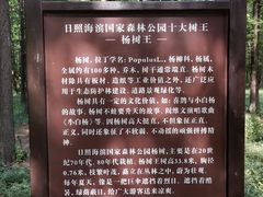 -日照海滨国家森林公园