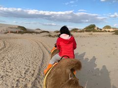 -库伦旗银沙湾旅游景区