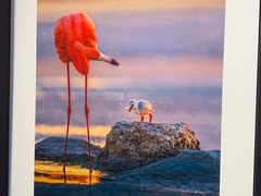 -罗红摄影艺术馆