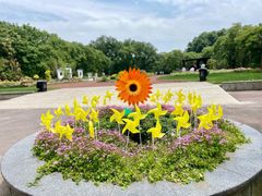 -上海共青森林公园