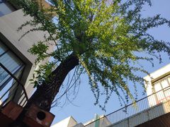 -泉乐坊步行街(烟酒特产平价超市店)