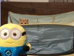 -萌兽医馆·犬猫专科·眼科中心·宠物医院(朝阳门分院)