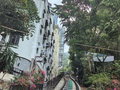 -山顶缆车