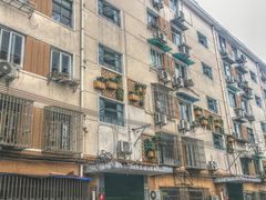 小区环境-蒋家桥小区