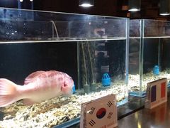 -璞御·海鲜·雪花牛肉局(宾水西道店)