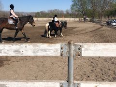 -月河湾马术俱乐部(朝阳店)