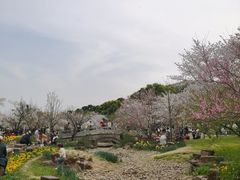 -苏州上方山国家森林公园