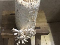 -潘老板炸鸡(河西万达店)