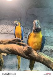 -Zoolung Zoolung动物主题公园(海信广场店)