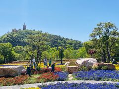 -狼山风景名胜区