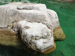 -山西通天峡景区