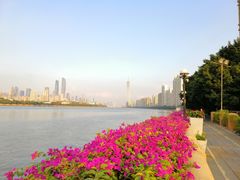 -珠江夜游广州塔·中大码头