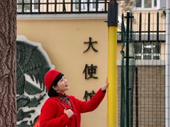 -三里屯东五街银杏大道