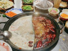 -朱光玉火锅馆(正弘城店)