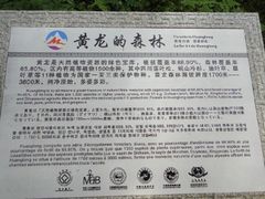 -黄龙山原始森林景区