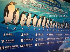 -珠海长隆海洋王国