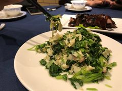 酒香豆苗-老吉士酒家(天平路店)