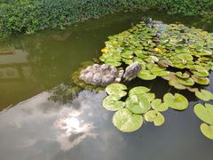-焦岗湖影视城