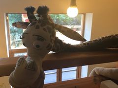 -长颈鹿咖啡(大学路店)