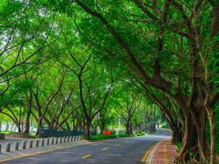 -南国桃园旅游度假区